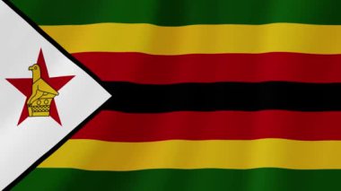 Zimbabwe Sallanan Bayrak. Gerçekçi Bayrak Animasyonu. Kusursuz Döngü Arkaplanı.