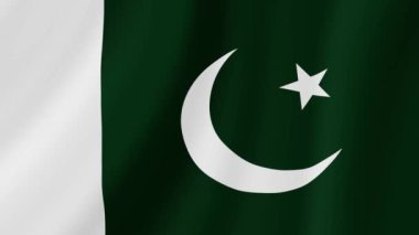 Pakistan Dalgalanan Bayrağı. Gerçekçi Bayrak Animasyonu. Kusursuz Döngü Arkaplanı.