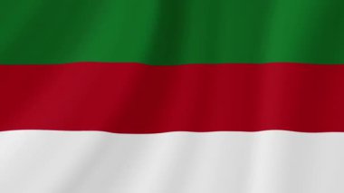 Helgoland Sallanan Bayrak. Gerçekçi Bayrak Animasyonu. Kusursuz Döngü Arkaplanı.