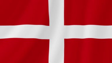 Savoie Sallanan Bayrak. Gerçekçi Bayrak Animasyonu. Kusursuz Döngü Arkaplanı.