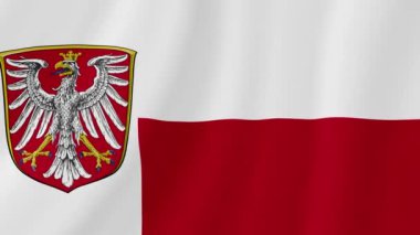 Frankfurt ana dalga bayrağıyım. Gerçekçi Bayrak Animasyonu. Kusursuz Döngü Arkaplanı.