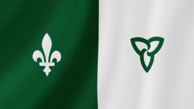 Franco-Ontarian Dalgalanan Bayrağı. Gerçekçi Bayrak Animasyonu. Kusursuz Döngü Arkaplanı.