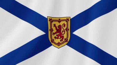 Nova Scotian Sallanan Bayrağı. Gerçekçi Bayrak Animasyonu. Kusursuz Döngü Arkaplanı.