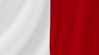 Bari Dalgalı Bayrak. Gerçekçi Bayrak Animasyonu. Kusursuz Döngü Arkaplanı.