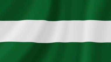 Santa Cruz Sallanan Bayrak. Gerçekçi Bayrak Animasyonu. Kusursuz Döngü Arkaplanı.