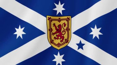 Avustralya İskoç Mirası Dalgalanan Bayrak. Gerçekçi Bayrak Animasyonu. Kusursuz Döngü Arkaplanı.