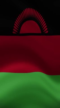 Dikey yönelimde Malavi Dalgalanan Bayrağı. Gerçekçi Bayrak Animasyonu. Kusursuz Döngü Arkaplanı.