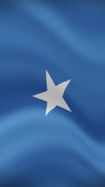 Dikey Oryantasyonda Somali Dalgalanan Bayrak. Gerçekçi Bayrak Animasyonu. Kusursuz Döngü Arkaplanı.