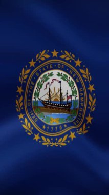 New Hampshire Eyalet Dalgalanan Bayrağı Dikey Oryantasyonda. Gerçekçi Bayrak Animasyonu. Kusursuz Döngü Arkaplanı.
