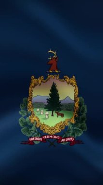 Vermont Eyaleti Dalgalanma Bayrağı Dikey Oryantasyonda. Gerçekçi Bayrak Animasyonu. Kusursuz Döngü Arkaplanı.