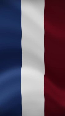 Hollanda Dikey Yönelimde Dalgalanan Bayrak. Gerçekçi Bayrak Animasyonu. Kusursuz Döngü Arkaplanı.