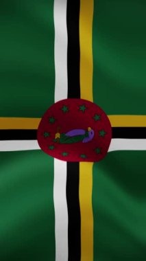 Dominica Dikey Yönelimde Bayrak Sallıyor. Gerçekçi Bayrak Animasyonu. Kusursuz Döngü Arkaplanı.