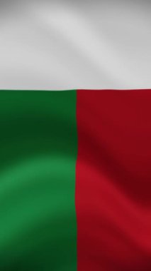Madagaskar Dikey Yönelimde Dalgalanan Bayrak. Gerçekçi Bayrak Animasyonu. Kusursuz Döngü Arkaplanı.