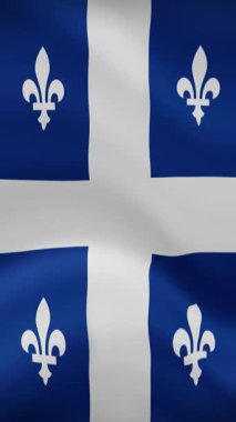 Dikey yönelimde Quebec Dalgalanan Bayrağı. Gerçekçi Bayrak Animasyonu. Kusursuz Döngü Arkaplanı.