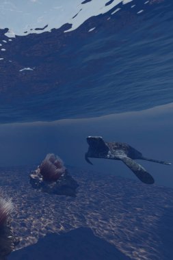 Kaplumbağalar renkli mercanlar arasında süzülür, büyüleyici deniz yaşamı sahneleri. Kaplumbağalar ve mercanlar arasındaki ortak yaşam resifin ekolojik dengesini koruyor..