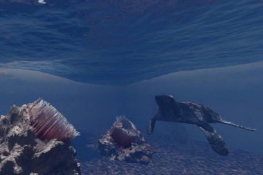 Deniz kaplumbağaları da diğer deniz canlıları gibi plastik atıkları yiyecek sanır ve onları mideye indirir. Bu da bağırsak tıkanıklığına, beslenme eksikliğine ve hatta ölüme yol açabilir.