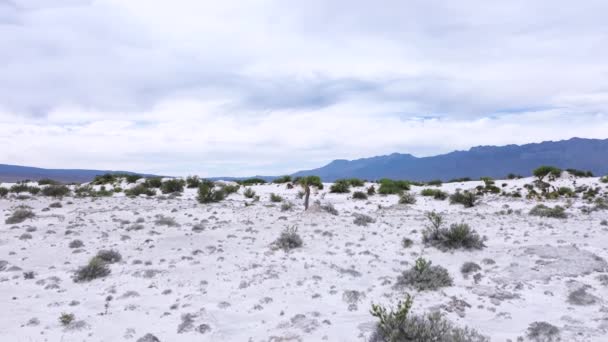 Dune Gesso Deserto Messico Condizione Genuina Rara Nel Suo Stile — Video Stock
