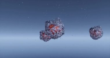 Ortopedik DNA Virüsü genetik bileşimi evrimi, hastalıklı mutasyon ve klavye ile Mpox ya da yaygın maymun hastalığı aşısı adı ile 