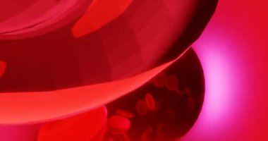 A, B, AB, O rh pozitif ya da negatif insan kanının bilimsel olarak görselleştirilmesi. Arterden yayılan 3 boyutlu animasyon, kemer kameralı yolu takip ediyor.