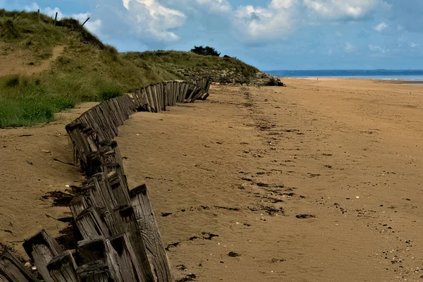 Utah Beach Normandie Regionen Frankrike Visar Väderbitna Trästaket Sanddyner Med — Stockfoto