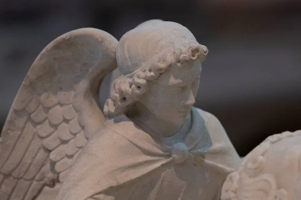 Détail Rapproché Ange Dans Une Cathédrale Sculptée Marbre Montrant Extrémité — Photo