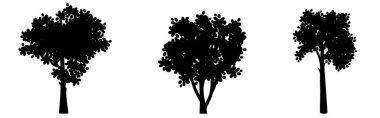 Farklı ağaç siluetleri. Manzara veya çiçek tasarımları için vektör çizimleri.