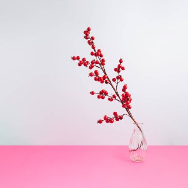 Minimum kış tatili kompozisyonu ve şeffaf bir şişe kırmızı böğürtlen dalı. Noel ve Yeni Yıl kavramı.