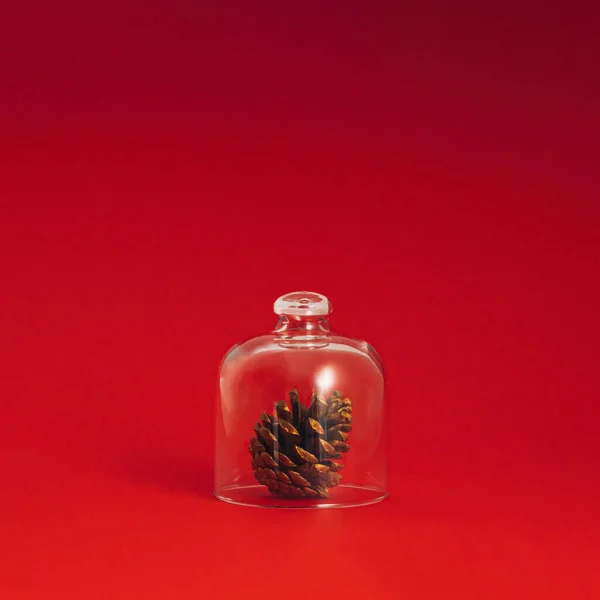 ガラスの鐘の下に松のコーン 赤いクリスマスと冬の休日の背景は ミニマリストスタイルで スペースをコピー ストックフォト