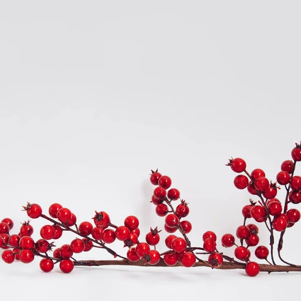 Christmas or winter composition. Red berries on white background. Xmas, winter and New Year concept. Minimal style.