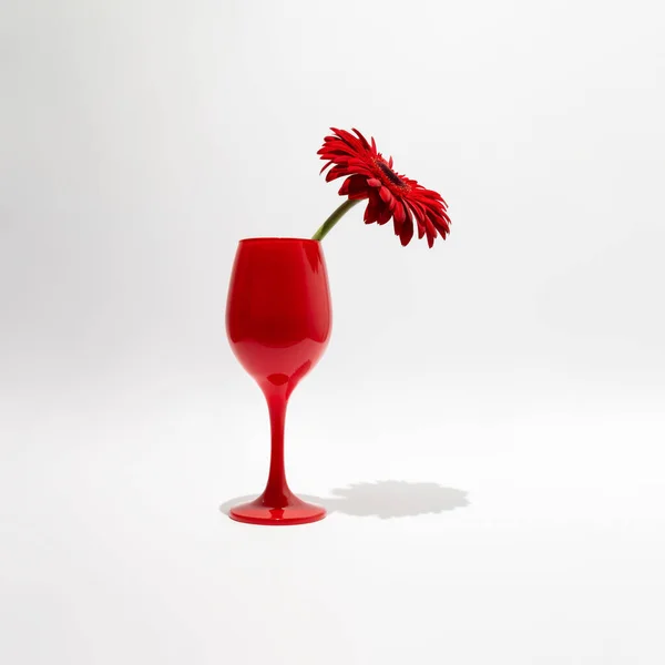 Red Wine Glass Gerbera Daisy Flower White Background Minimal Season — стоковое фото