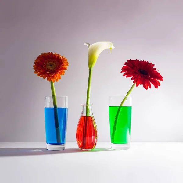 Coloridas Flores Primavera Sobre Fondo Beige Pastel Diseño Estético Surrealista —  Fotos de Stock