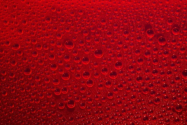 Esthetische Waterdruppels Donkerrode Achtergrond Holografische Zachte Pastelkleuren Achtergrond Trendy Creatieve — Stockfoto