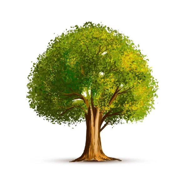 Schöne Grüne Landschaft Baum Design — Stockvektor
