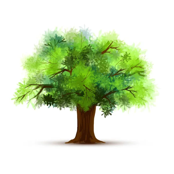 Malování Zeleného Stromu Izolovaný Design — Stockový vektor