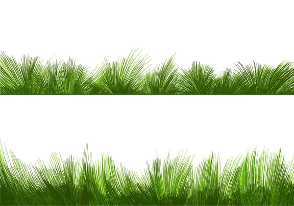 Krásná Zelená Tráva Izolované Pozadí — Stockový vektor