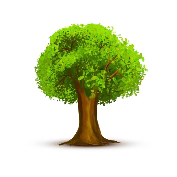 Schöne Grüne Landschaft Baum Auf Weißem Hintergrund — Stockvektor