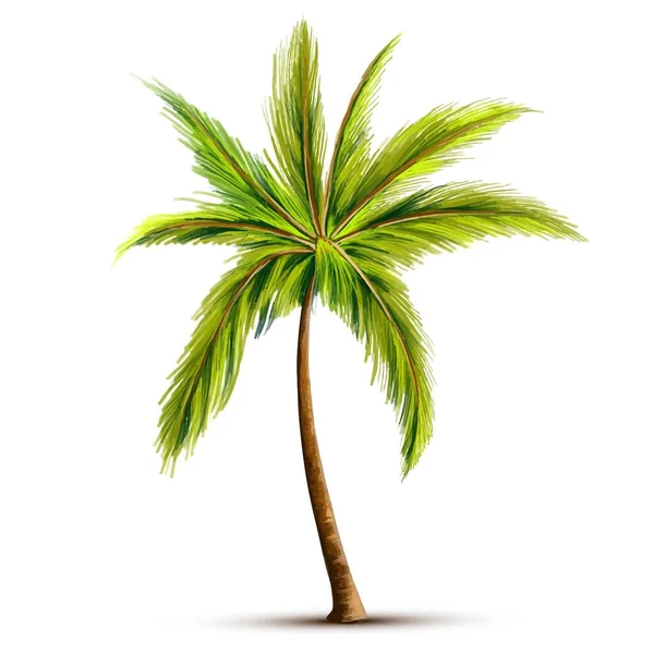 Красивий Зелений Дизайн Листя Кокосового Дерева — стоковий вектор