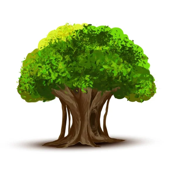 Uma Árvore Isolada Fundo Branco — Vetor de Stock
