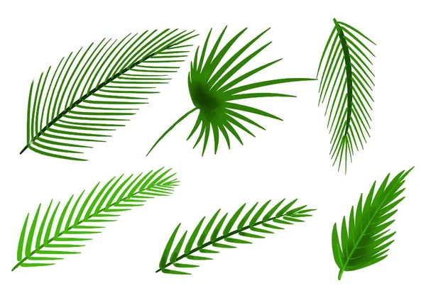 Dekorativa Tropiska Växter Grönt Blad Set Design — Stock vektor