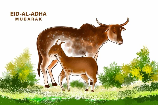 Tarjeta Felicitación Eid Adha Con Diseño Acuarela Cabra Vaca — Vector de stock