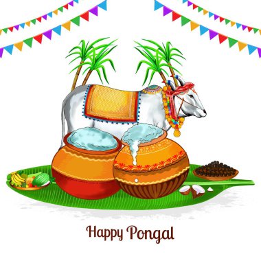 Mutlu pongal festivali geçmiş kutlamaları