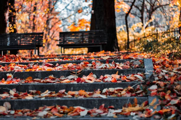 Treppen Mit Herbstblättern Blick Auf Alte Steinstufen Herbstpark Bunte Gefallene — Stockfoto
