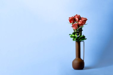 Bouquet of red roses in a vase on a blue background.