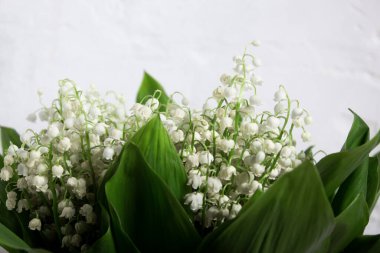 Beyaz tuğla bir duvara karşı vadideki zambaklardan bir buket