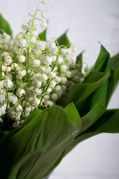 a bouquet of lilies of the valley against a white brick wall