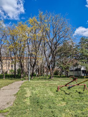 Parktaki Güneşli Bahar Günü, Belgrad, Nisan 2025