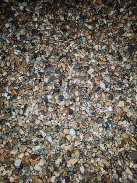 Yard 'da Islak Kayalar