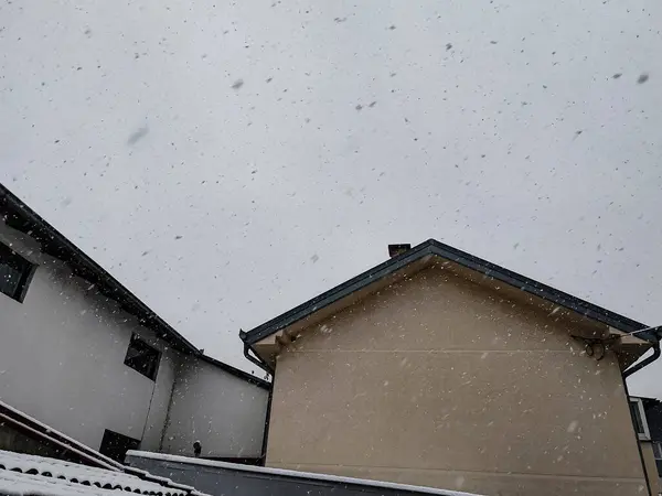 Frist Snow from My Yard, Kasım 2024, Belgrad, Sırbistan