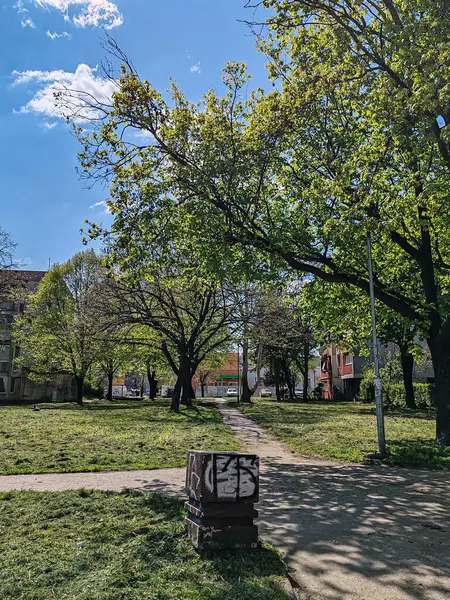 Parktaki Güneşli Bahar Günü, Belgrad, Nisan 2025