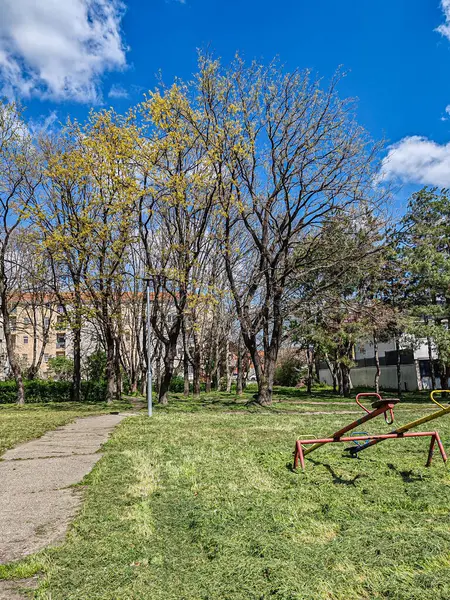 Parktaki Güneşli Bahar Günü, Belgrad, Nisan 2025